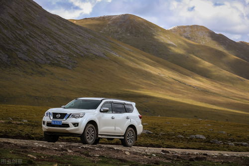 666ys18p2p网站www75bocom